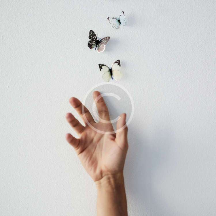 Aliquip Sanctus - stock image